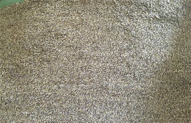 Hirundo Super Absorbent Non-Slip Latex Back Doormat